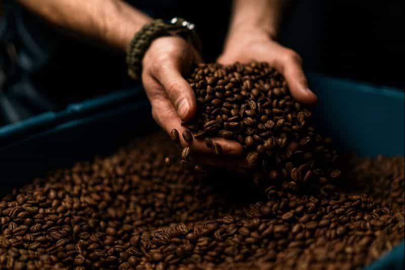 Café en grain vs capsules : pourquoi les entreprises luxembourgeoises passent au grain